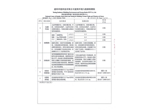 荣凯公司检测报告